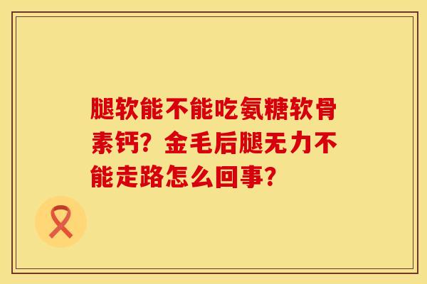 腿软能不能吃氨糖软骨素钙?金毛后腿无力不能走路怎么回事? 腿软能不能吃氨糖软骨素钙?金毛后腿无力不能走路怎么回事?