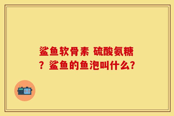 鲨鱼软骨素 硫酸氨糖？鲨鱼的鱼泡叫什么？