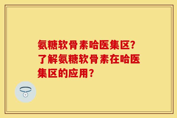 氨糖软骨素哈医集区？了解氨糖软骨素在哈医集区的应用？