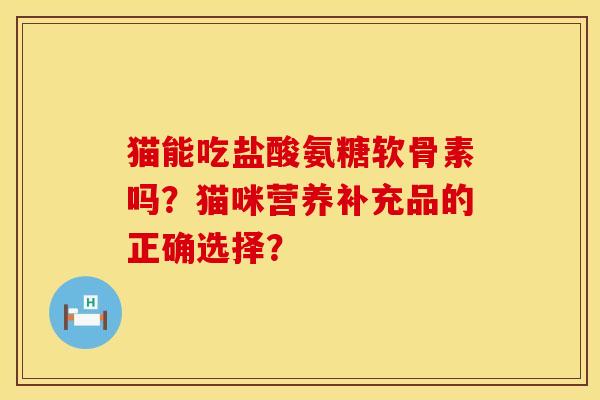 猫能吃盐酸氨糖软骨素吗？猫咪营养补充品的正确选择？