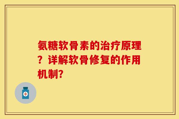 氨糖软骨素的治疗原理？详解软骨修复的作用机制？