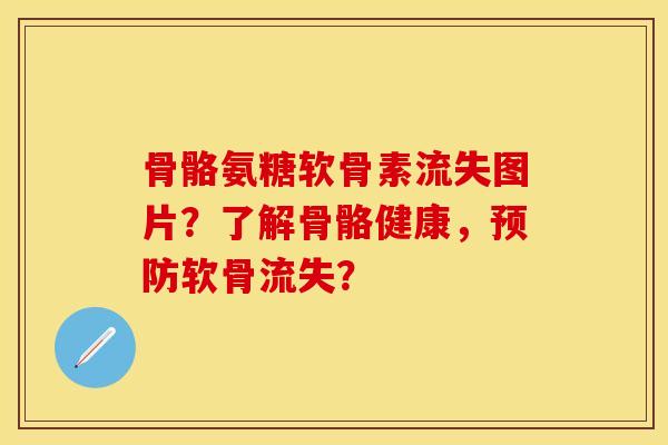 骨骼氨糖软骨素流失图片?了解骨骼健康,软骨流失? 骨骼氨糖软骨素流失图片?了解骨骼健康,软骨流失?