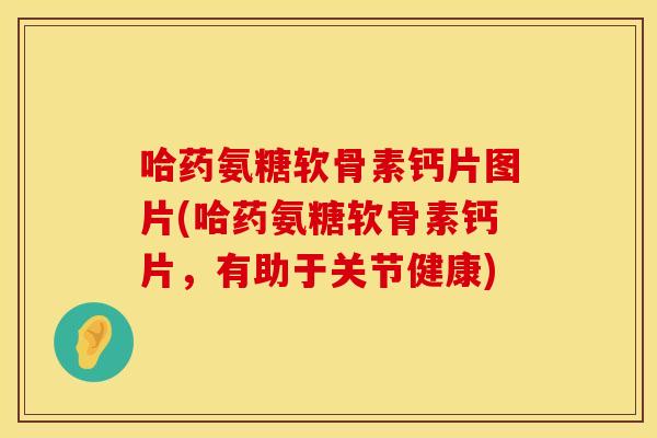 哈药氨糖软骨素钙片图片(哈药氨糖软骨素钙片,有助于关节健康) 哈药氨糖软骨素钙片图片(哈药氨糖软骨素钙片,有助于关节健康)