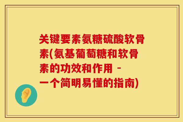 关键要素氨糖硫酸软骨素(氨基葡萄糖和软骨素的功效和作用 - 一个简明易懂的指南)