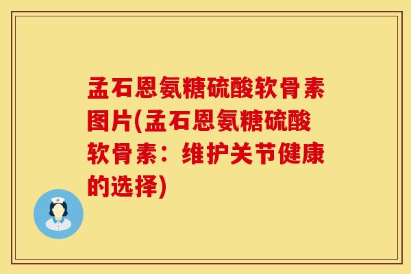 孟石恩氨糖硫酸软骨素图片(孟石恩氨糖硫酸软骨素：维护关节健康的选择)