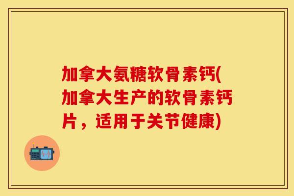 加拿大氨糖软骨素钙(加拿大生产的软骨素钙片,适用于关节健康)