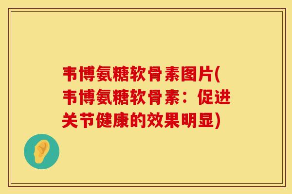 韦博氨糖软骨素图片(韦博氨糖软骨素：促进关节健康的效果明显)