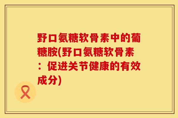 野口氨糖软骨素中的葡糖胺(野口氨糖软骨素:促进关节健康的有效成分)