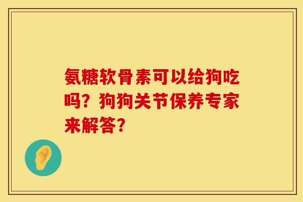 氨糖软骨素可以给狗吃吗?狗狗关节保养专家来解答?