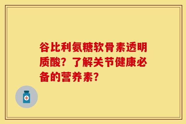 谷比利氨糖软骨素透明质酸？了解关节健康必备的营养素？