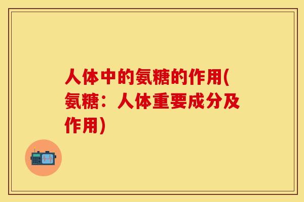 人体中的氨糖的作用(氨糖：人体重要成分及作用)
