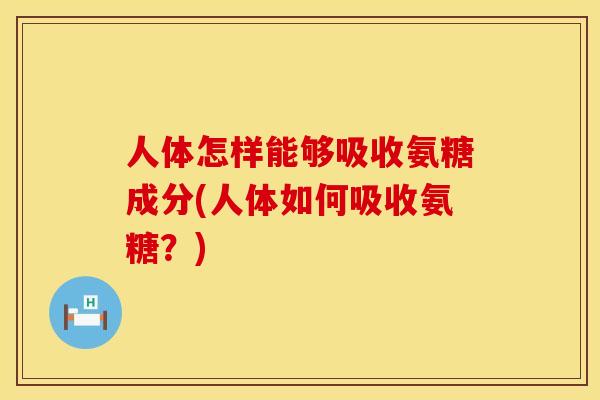 人体怎样能够吸收氨糖成分(人体如何吸收氨糖？)