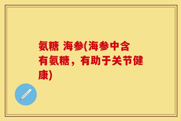 氨糖 海参(海参中含有氨糖，有助于关节健康)