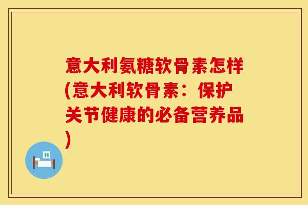 意大利氨糖软骨素怎样(意大利软骨素：保护关节健康的必备营养品)