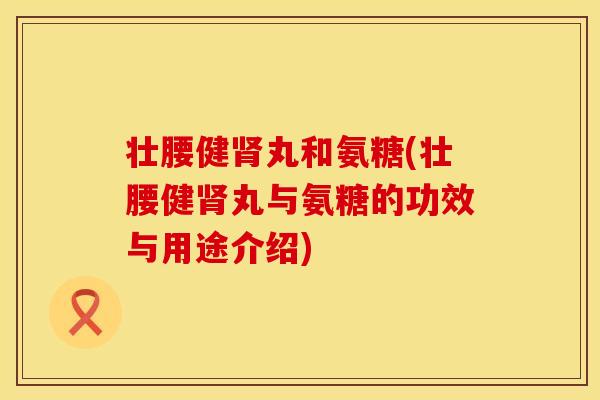 壮腰健肾丸和氨糖(壮腰健肾丸与氨糖的功效与用途介绍)