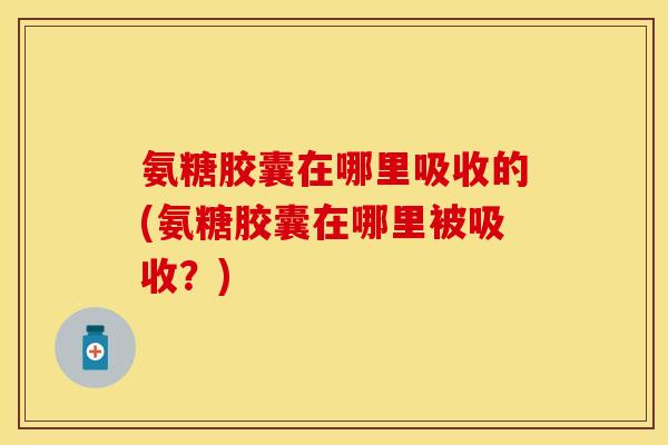 氨糖胶囊在哪里吸收的(氨糖胶囊在哪里被吸收？)