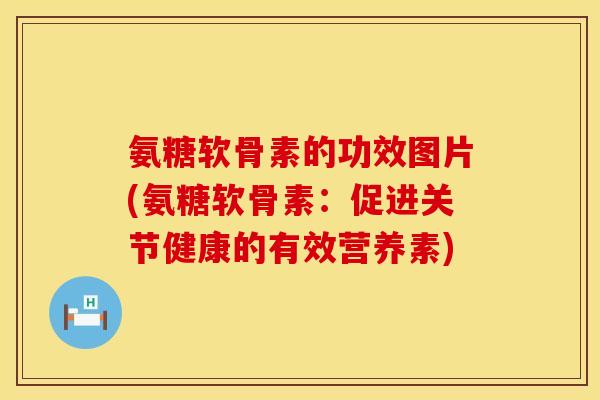 氨糖软骨素的功效图片(氨糖软骨素：促进关节健康的有效营养素)