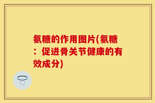 氨糖的作用图片(氨糖：促进骨关节健康的有效成分)
