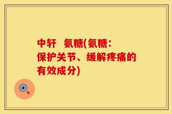 中轩 氨糖(氨糖:保护关节、缓解的有效成分) 中轩 氨糖(氨糖:保护关节、缓解的有效成分)