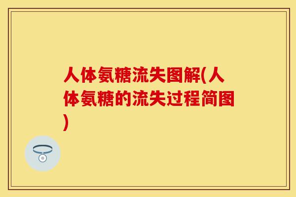 人体氨糖流失图解(人体氨糖的流失过程简图)