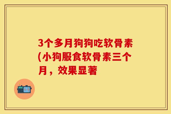 3个多月狗狗吃软骨素(小狗服食软骨素三个月,效果显著