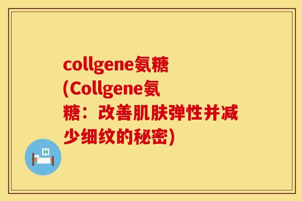 collgene氨糖(Collgene氨糖：改善弹性并减少细纹的秘密)