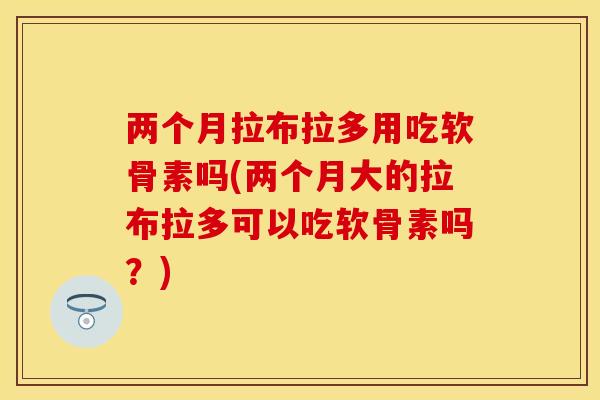 两个月拉布拉多用吃软骨素吗(两个月大的拉布拉多可以吃软骨素吗？)