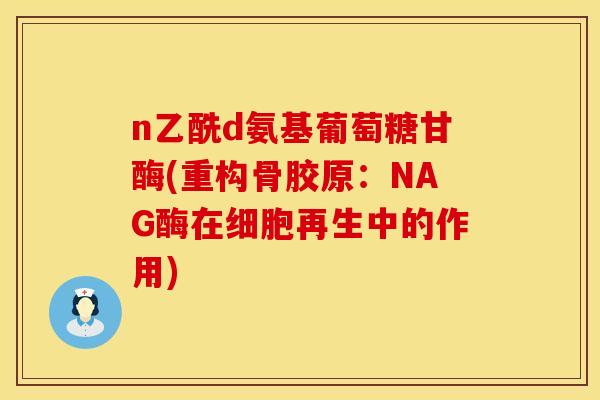 n乙酰d氨基葡萄糖甘酶(重构骨胶原:NAG酶在细胞再生中的作用) n乙酰d氨基葡萄糖甘酶(重构骨胶原:NAG酶在细胞再生中的作用)