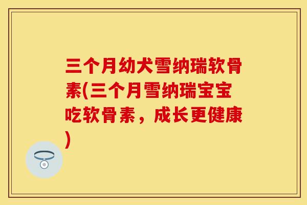 三个月幼犬雪纳瑞软骨素(三个月雪纳瑞宝宝吃软骨素,成长更健康) 三个月幼犬雪纳瑞软骨素(三个月雪纳瑞宝宝吃软骨素,成长更健康)