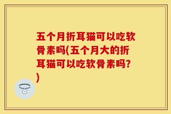 五个月折耳猫可以吃软骨素吗(五个月大的折耳猫可以吃软骨素吗?) 五个月折耳猫可以吃软骨素吗(五个月大的折耳猫可以吃软骨素吗?)