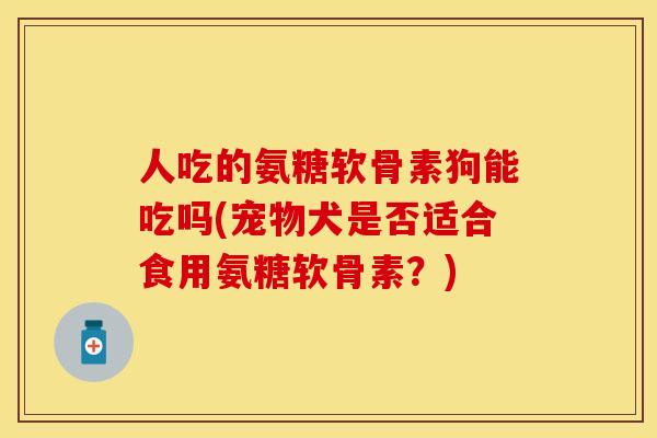 人吃的氨糖软骨素狗能吃吗(宠物犬是否适合食用氨糖软骨素？)