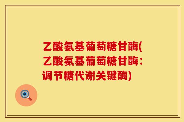 乙酸氨基葡萄糖甘酶(乙酸氨基葡萄糖甘酶:调节糖代谢关键酶) 乙酸氨基葡萄糖甘酶(乙酸氨基葡萄糖甘酶:调节糖代谢关键酶)