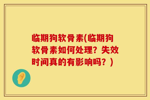 临期狗软骨素(临期狗软骨素如何处理?失效时间真的有影响吗?) 临期狗软骨素(临期狗软骨素如何处理?失效时间真的有影响吗?)