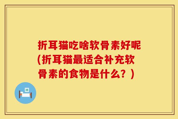 折耳猫吃啥软骨素好呢(折耳猫适合补充软骨素的食物是什么？)