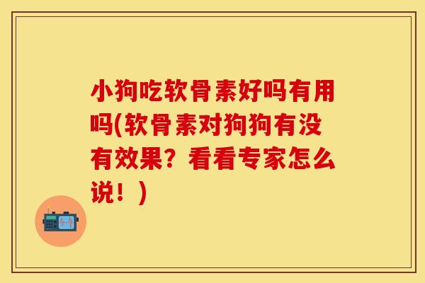 小狗吃软骨素好吗有用吗(软骨素对狗狗有没有效果？看看专家怎么说！)