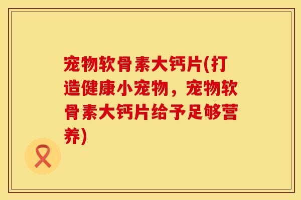 宠物软骨素大钙片(打造健康小宠物，宠物软骨素大钙片给予足够营养)