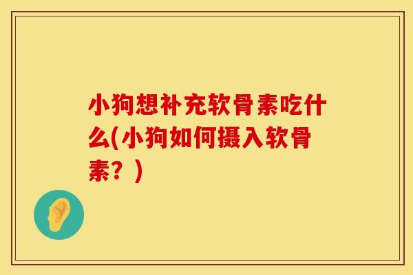 小狗想补充软骨素吃什么(小狗如何摄入软骨素?)