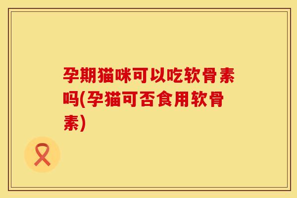 孕期猫咪可以吃软骨素吗(孕猫可否食用软骨素)