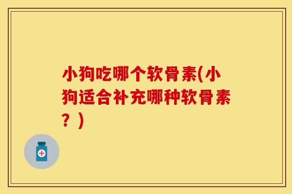 小狗吃哪个软骨素(小狗适合补充哪种软骨素?)
