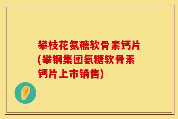 攀枝花氨糖软骨素钙片(攀钢集团氨糖软骨素钙片上市销售)