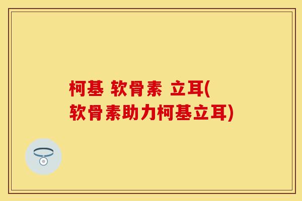 柯基 软骨素 立耳(软骨素助力柯基立耳) 柯基 软骨素 立耳(软骨素助力柯基立耳)