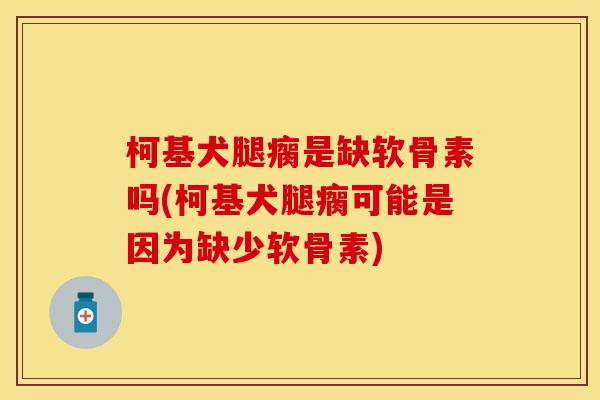 柯基犬腿瘸是缺软骨素吗(柯基犬腿瘸可能是因为缺少软骨素)