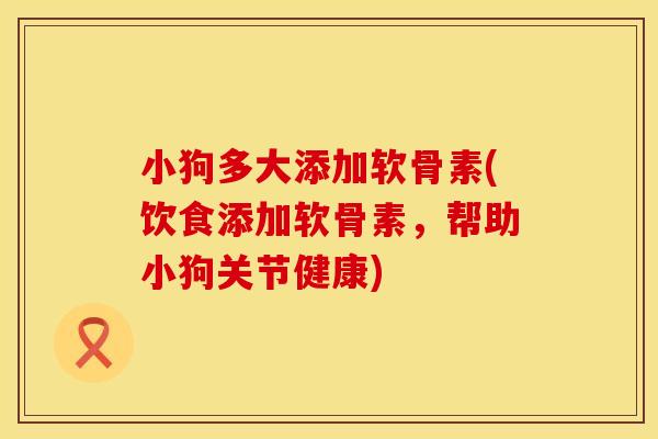 小狗多大添加软骨素(饮食添加软骨素,帮助小狗关节健康)