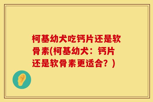 柯基幼犬吃钙片还是软骨素(柯基幼犬：钙片还是软骨素更适合？)