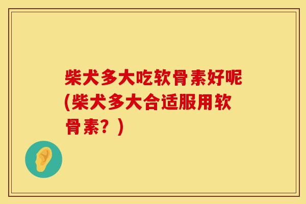 柴犬多大吃软骨素好呢(柴犬多大合适服用软骨素?)