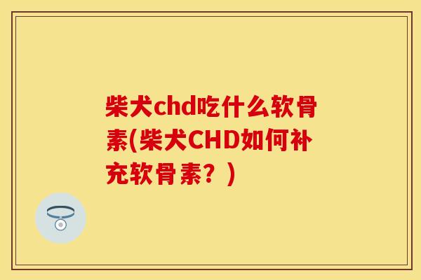 柴犬chd吃什么软骨素(柴犬CHD如何补充软骨素?) 柴犬chd吃什么软骨素(柴犬CHD如何补充软骨素?)