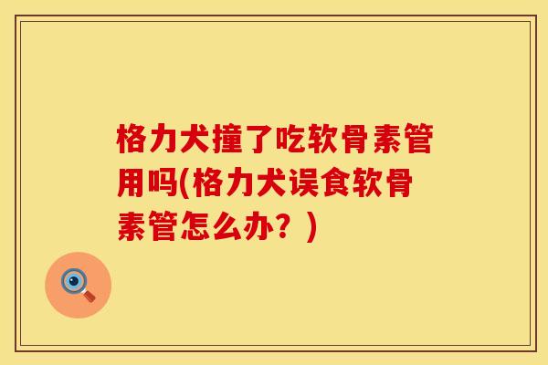 格力犬撞了吃软骨素管用吗(格力犬误食软骨素管怎么办？)