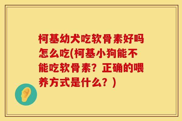 柯基幼犬吃软骨素好吗怎么吃(柯基小狗能不能吃软骨素？正确的喂养方式是什么？)