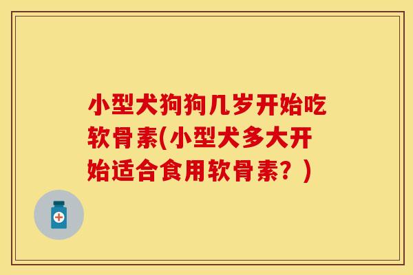 小型犬狗狗几岁开始吃软骨素(小型犬多大开始适合食用软骨素?) 小型犬狗狗几岁开始吃软骨素(小型犬多大开始适合食用软骨素?)