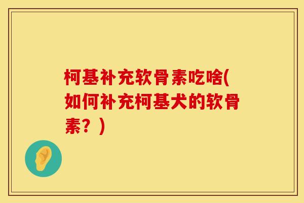 柯基补充软骨素吃啥(如何补充柯基犬的软骨素？)
